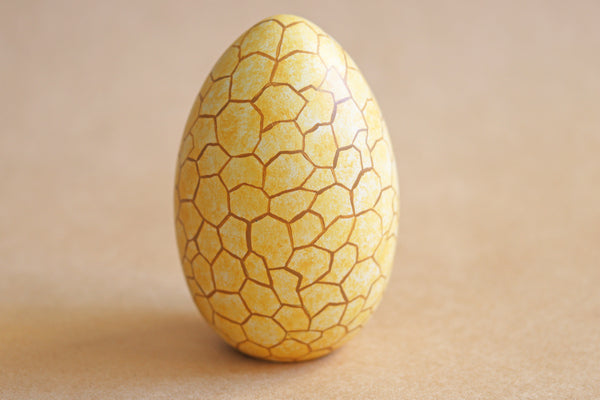 Hatching Dinosaur Egg