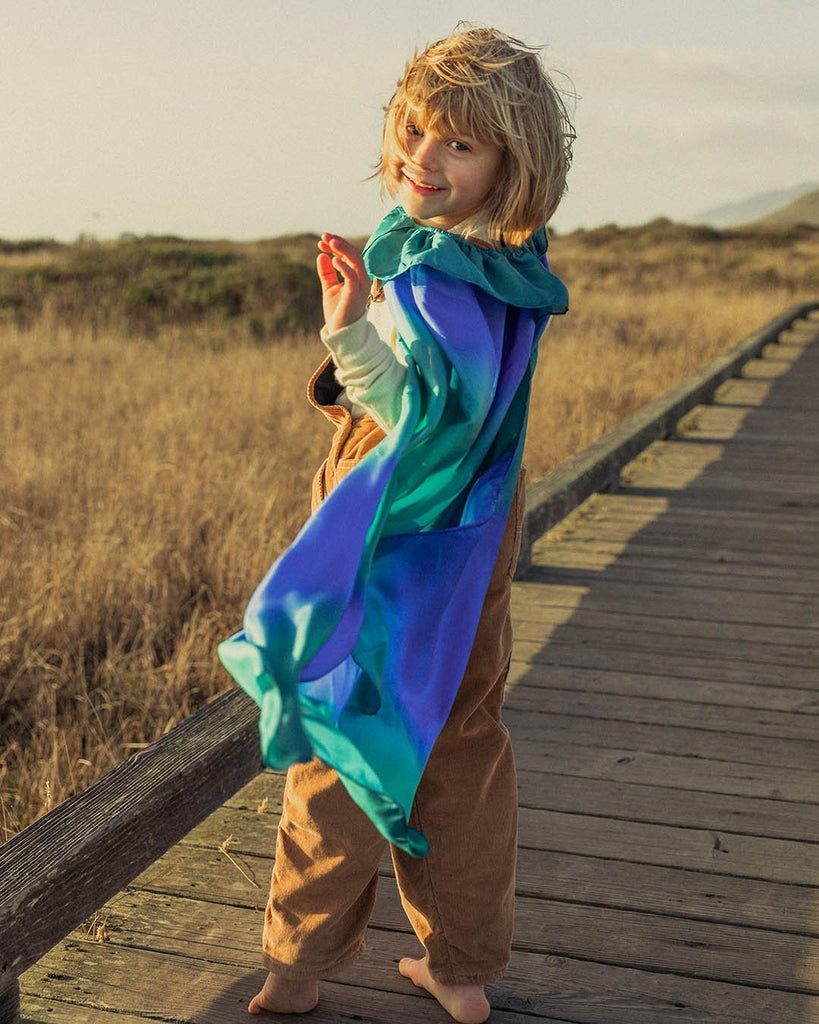 Sarah's Silks - Cape