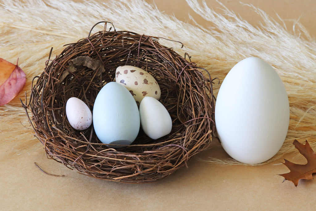 Nest of Eggs